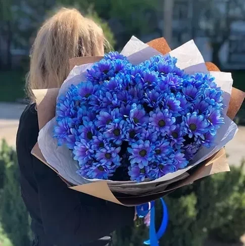 Букет из 13 крашеных кустовых хризантем